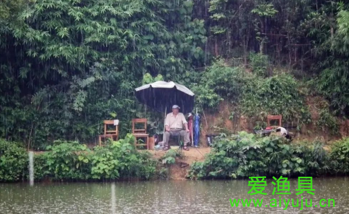 钓鱼就像人生所走的路，有几个钓鱼人能真正看透